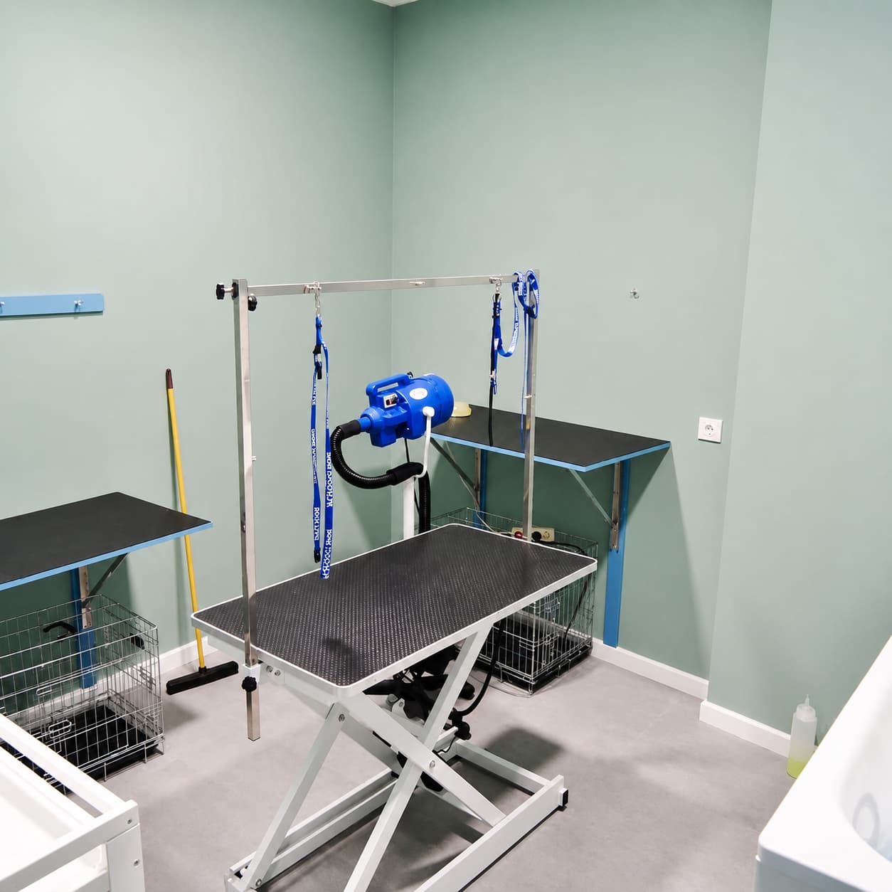 Sala de peluquería canina y felina del consultorio veterinario en Arteixo