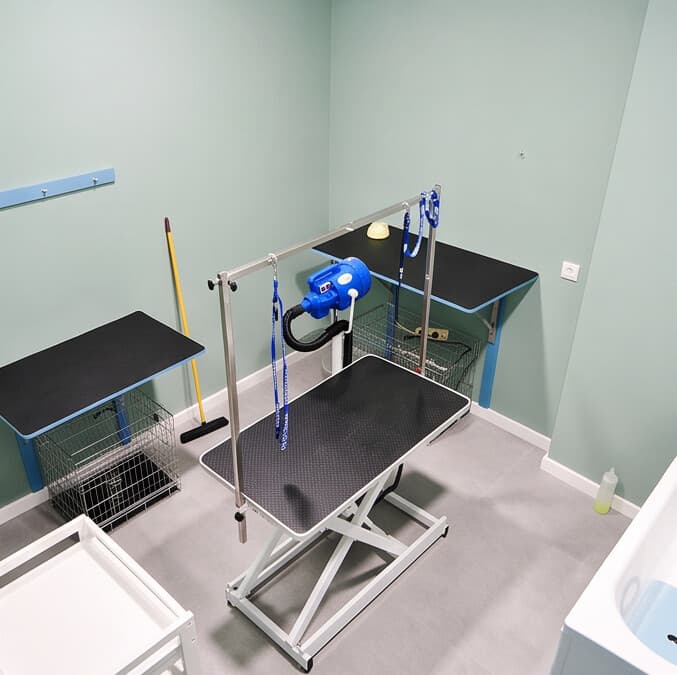 Sala de peluquería canina del consultorio veterinario en Arteixo